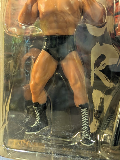 ★ The Battle ★ of Iwaru Island Antonio Inoki vs Masa Saito 