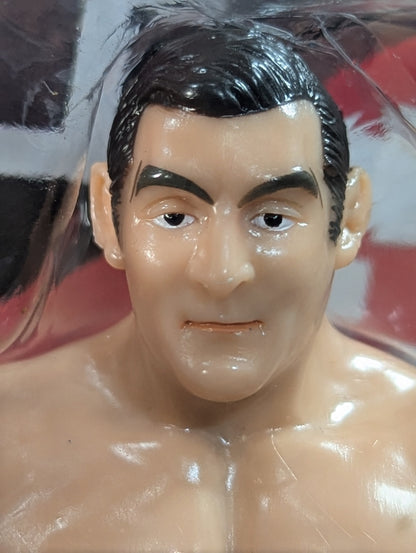 ★ Banner Opening Series ★ Antonio Inoki vs Karl Gotch 