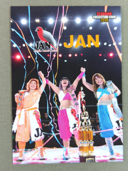 2019 STARDOM COLLECTION CARD JAN(183)