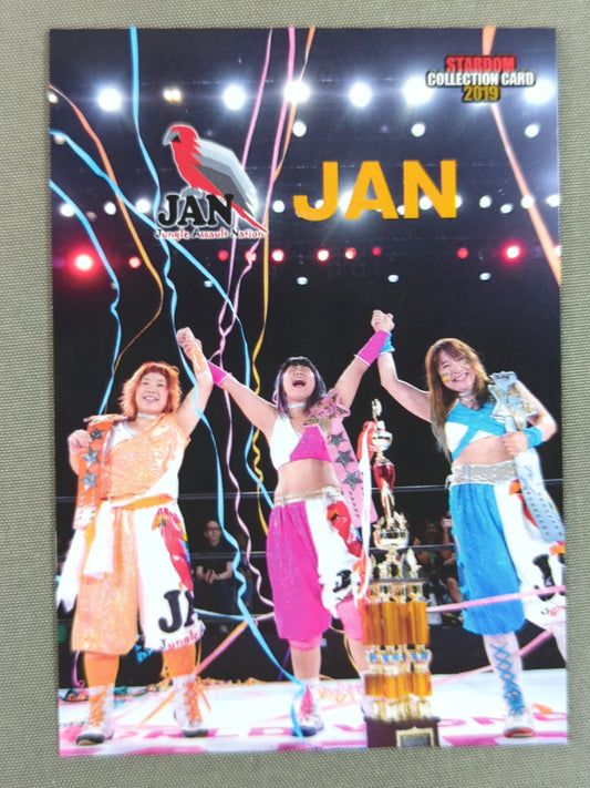 2019 STARDOM COLLECTION CARD JAN(183)