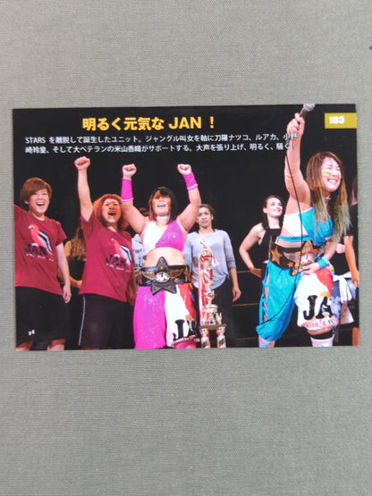 2019 STARDOM COLLECTION CARD JAN(183)