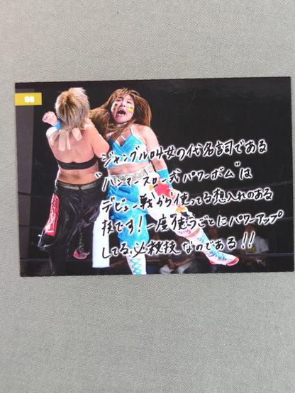 2019 STARDOM COLLECTION CARD Jungle Kyona × Power Bomb (66)