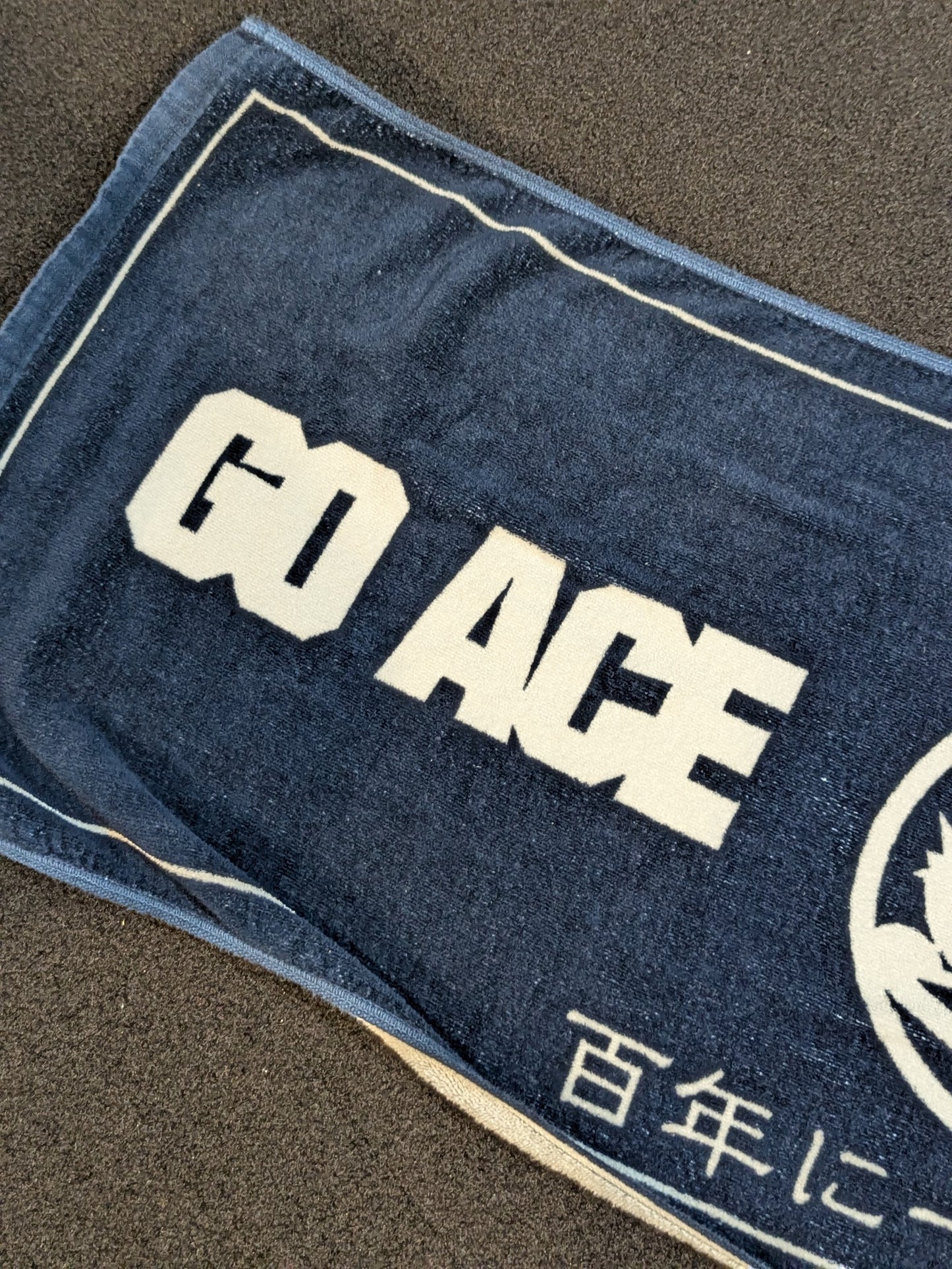 棚橋弘至「逸」スポーツタオル