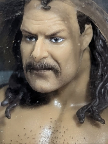 ジェイク・ロバーツ (青地タイツ)