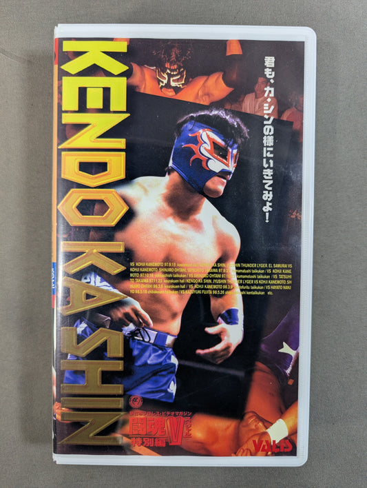 Kendo Kashin Special Fighting Spirit V Special Special Edition