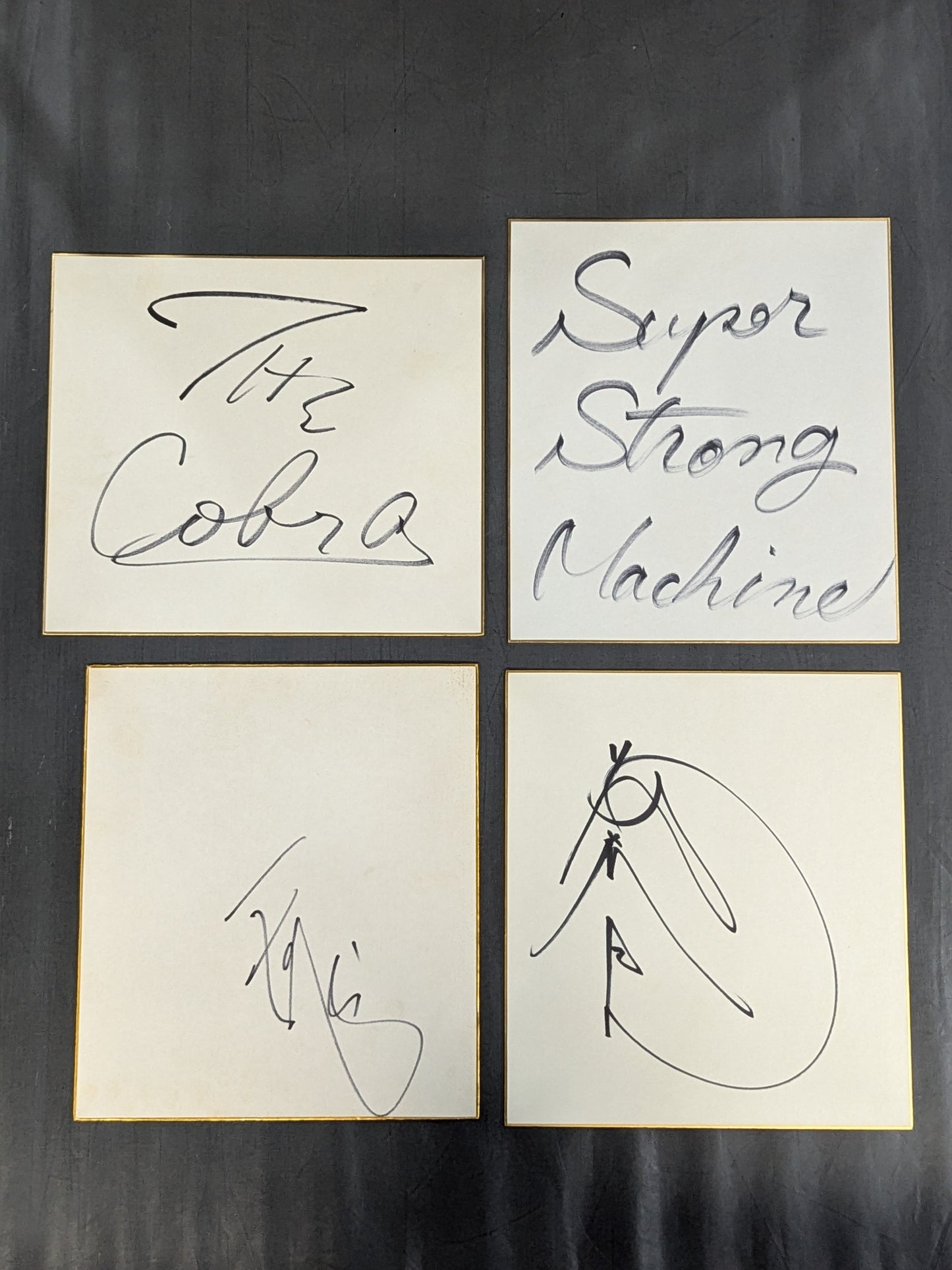 国内プロレスラー サイン色紙セット⑨