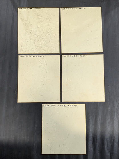 国内プロレスラー サイン色紙セット⑨