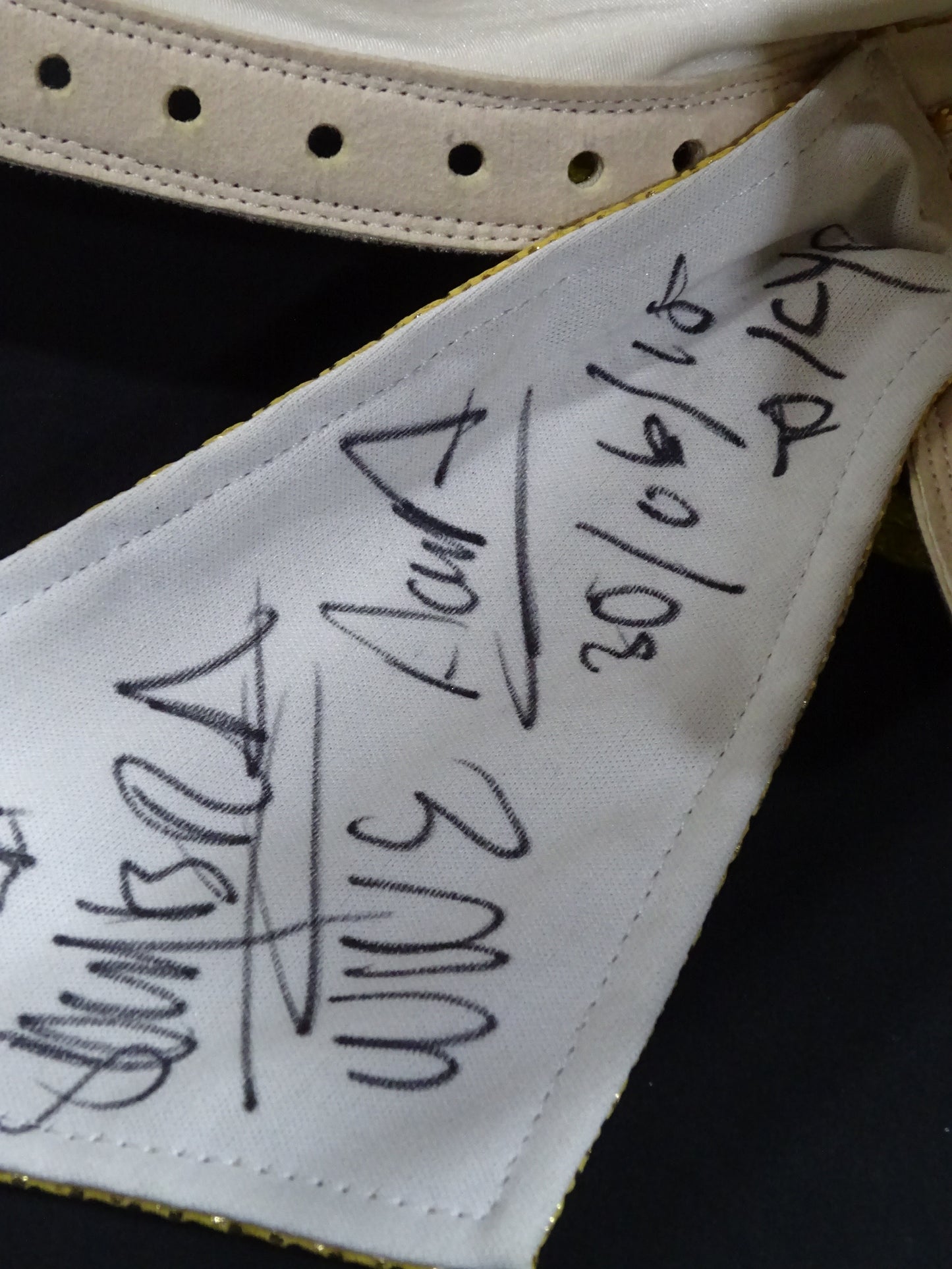 アンドラーデ "シエン" アルマス ★WWE日本公演実使用!!★