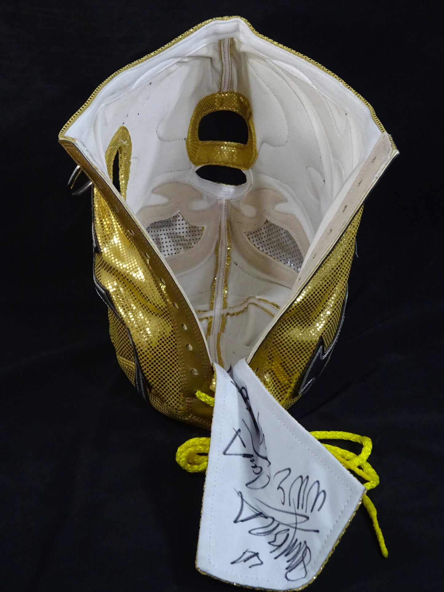 アンドラーデ "シエン" アルマス ★WWE日本公演実使用!!★