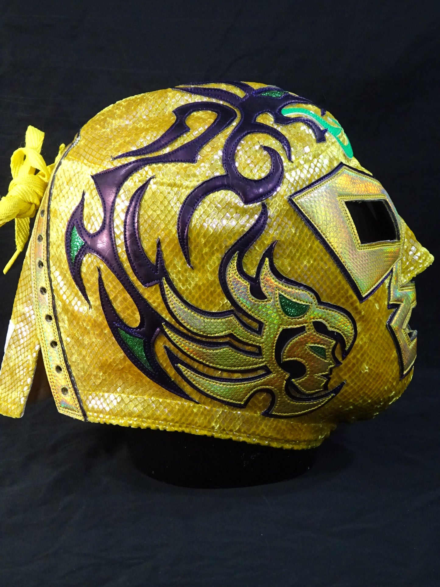 イホ・デ・ドクトル・ワグナー・ジュニア