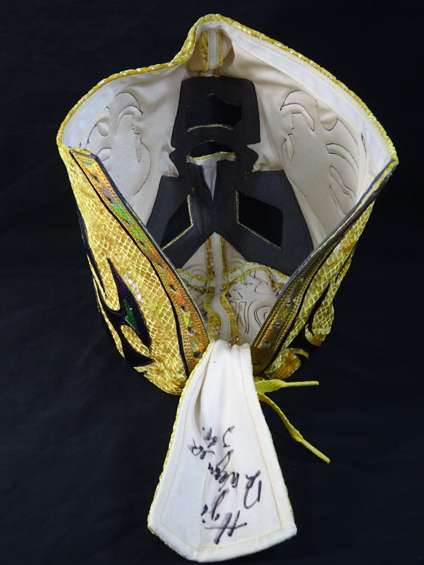 イホ・デ・ドクトル・ワグナー・ジュニア