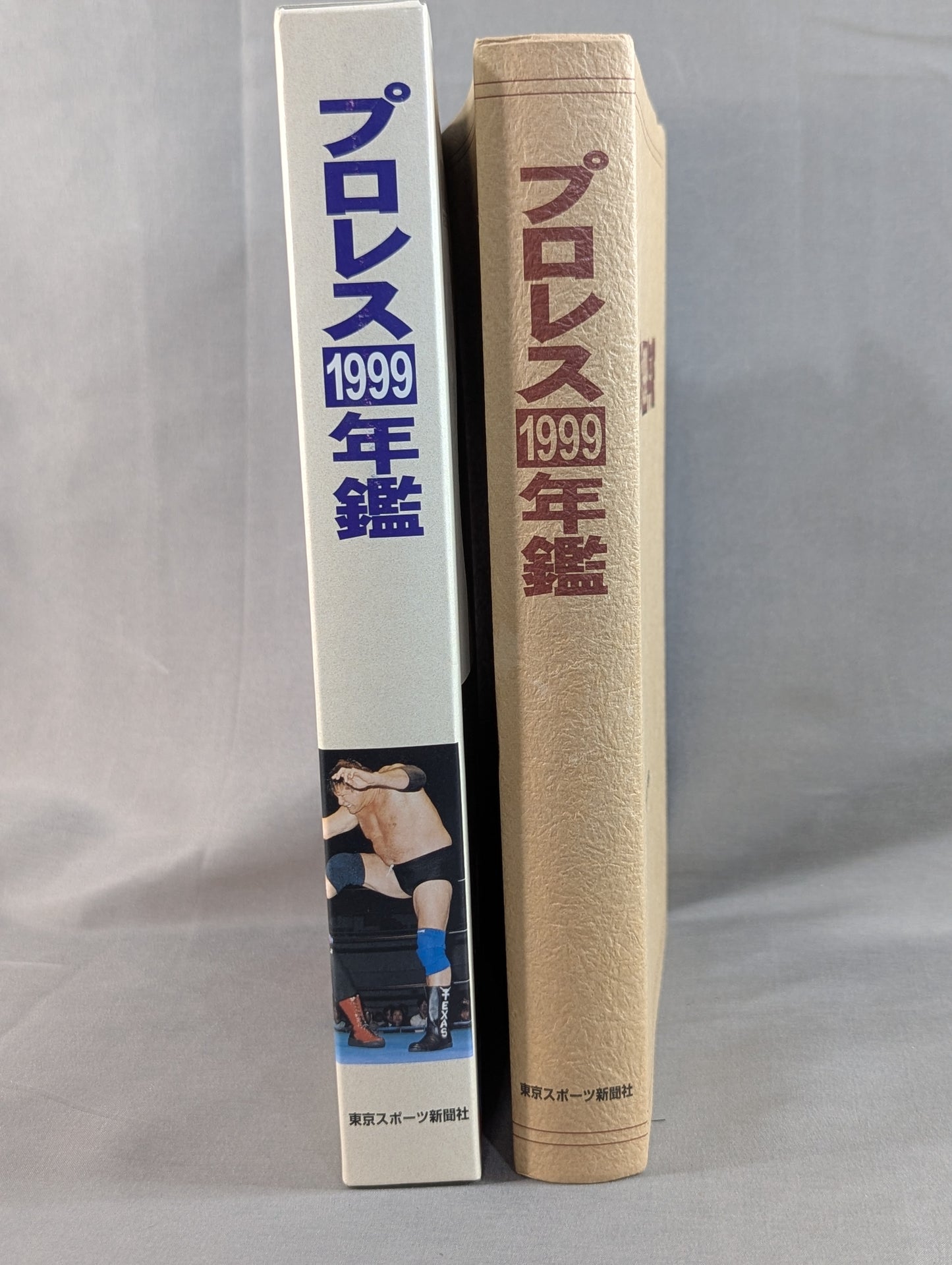 プロレス1999年鑑