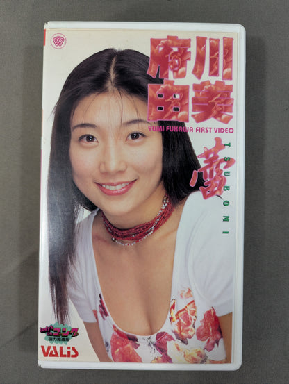 府川由美 蕾