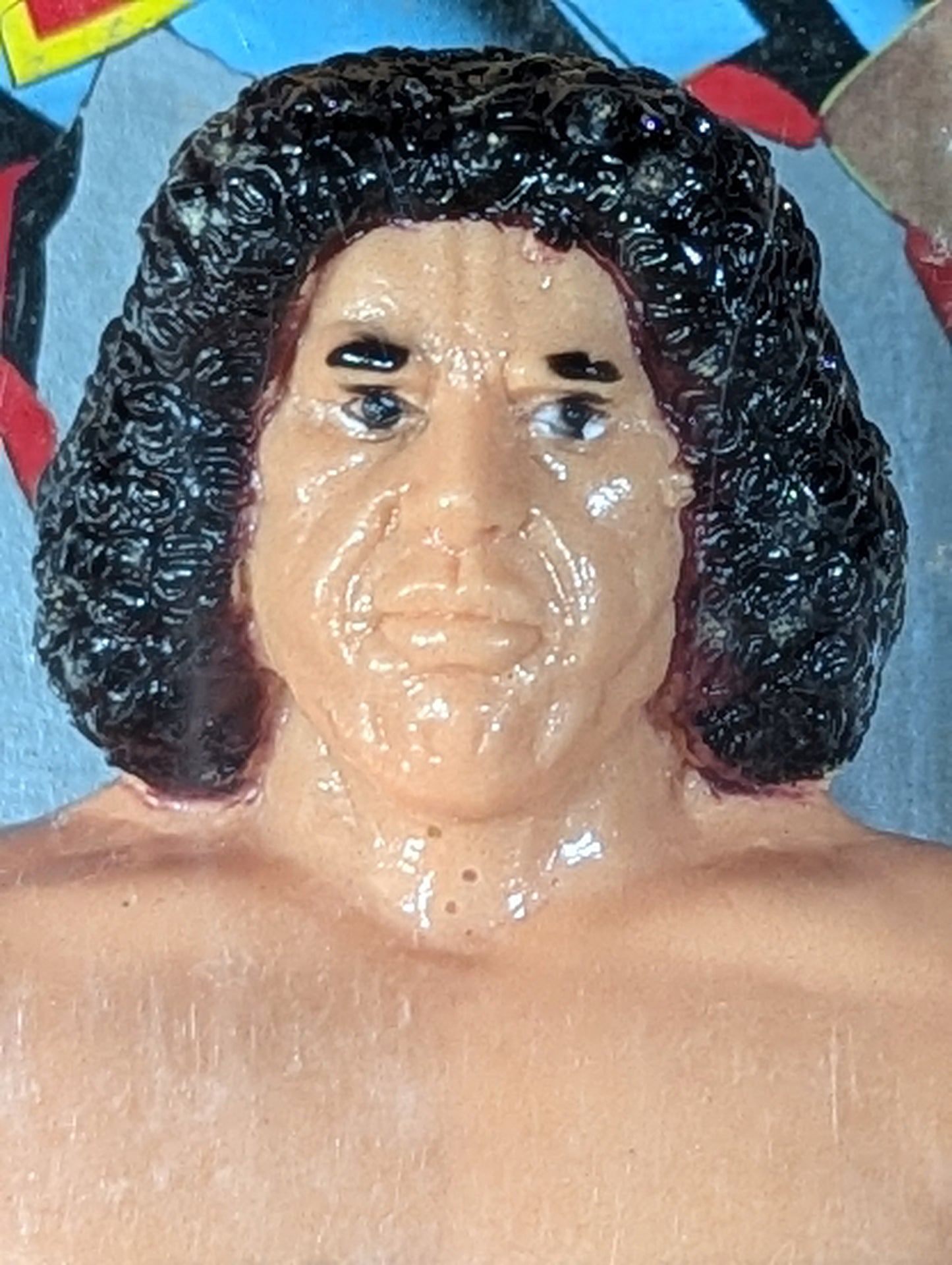 アンドレ・ザ・ジャイアント ★スーパープロレスラーシリーズ★