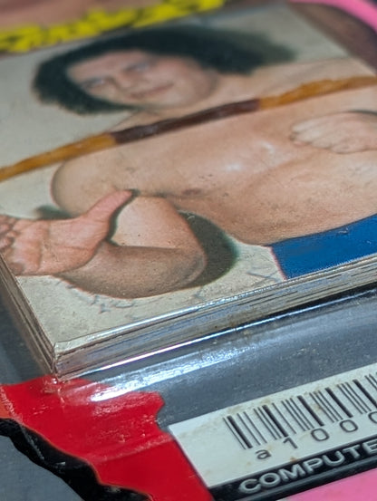 アンドレ・ザ・ジャイアント ★スーパープロレスラーシリーズ★