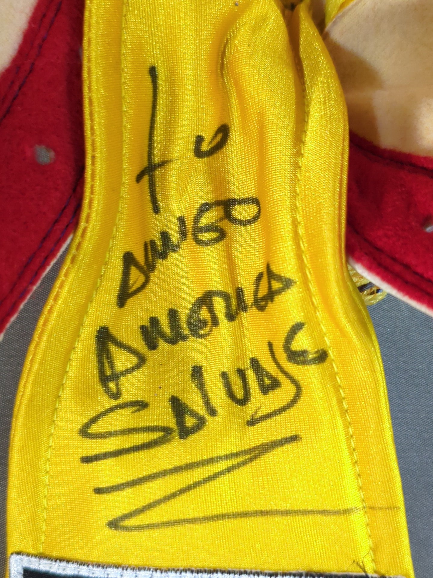 アメリカ・サルバヘ