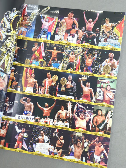 G1 CLIMAX 31 / G1クライマックス31