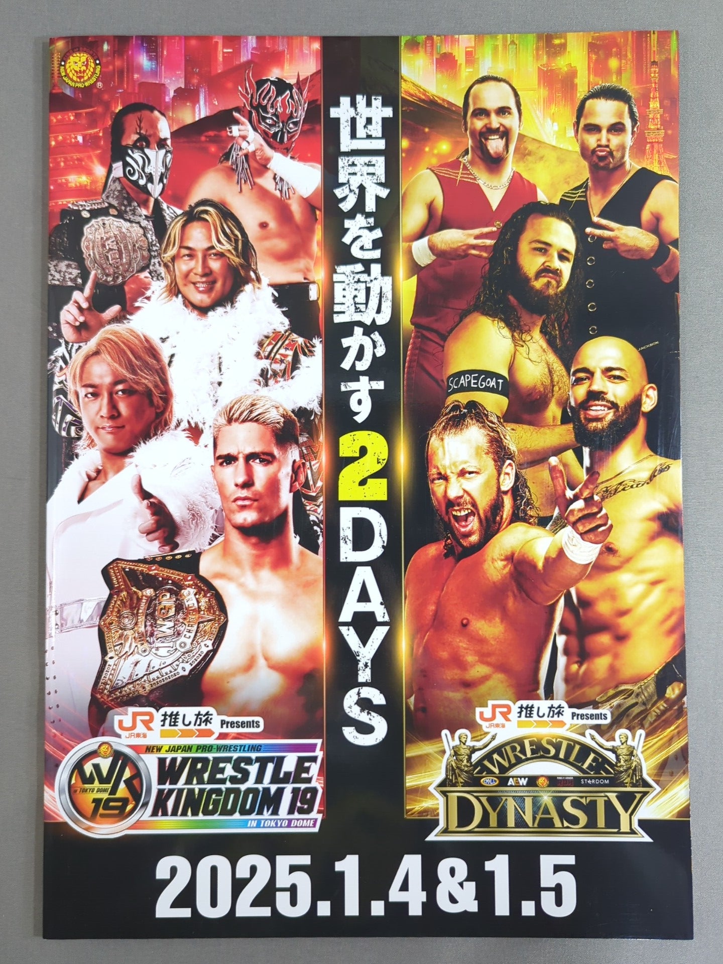 WRESTLE KINGDOM 19 & DYNASTY