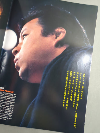 ★ Fujinami vs Flair NWA 91 ★ Starcade in Fighting Dream