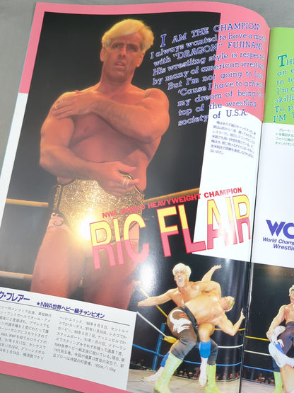 ★ Fujinami vs Flair NWA 91 ★ Starcade in Fighting Dream