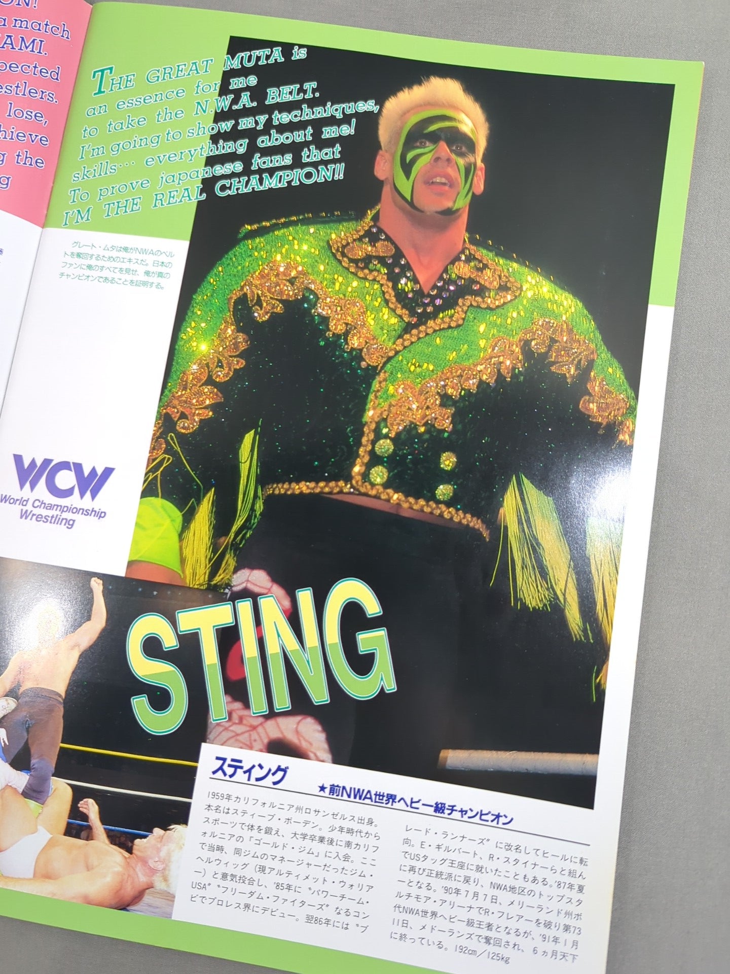 ★ Fujinami vs Flair NWA 91 ★ Starcade in Fighting Dream