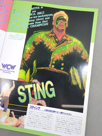★ Fujinami vs Flair NWA 91 ★ Starcade in Fighting Dream
