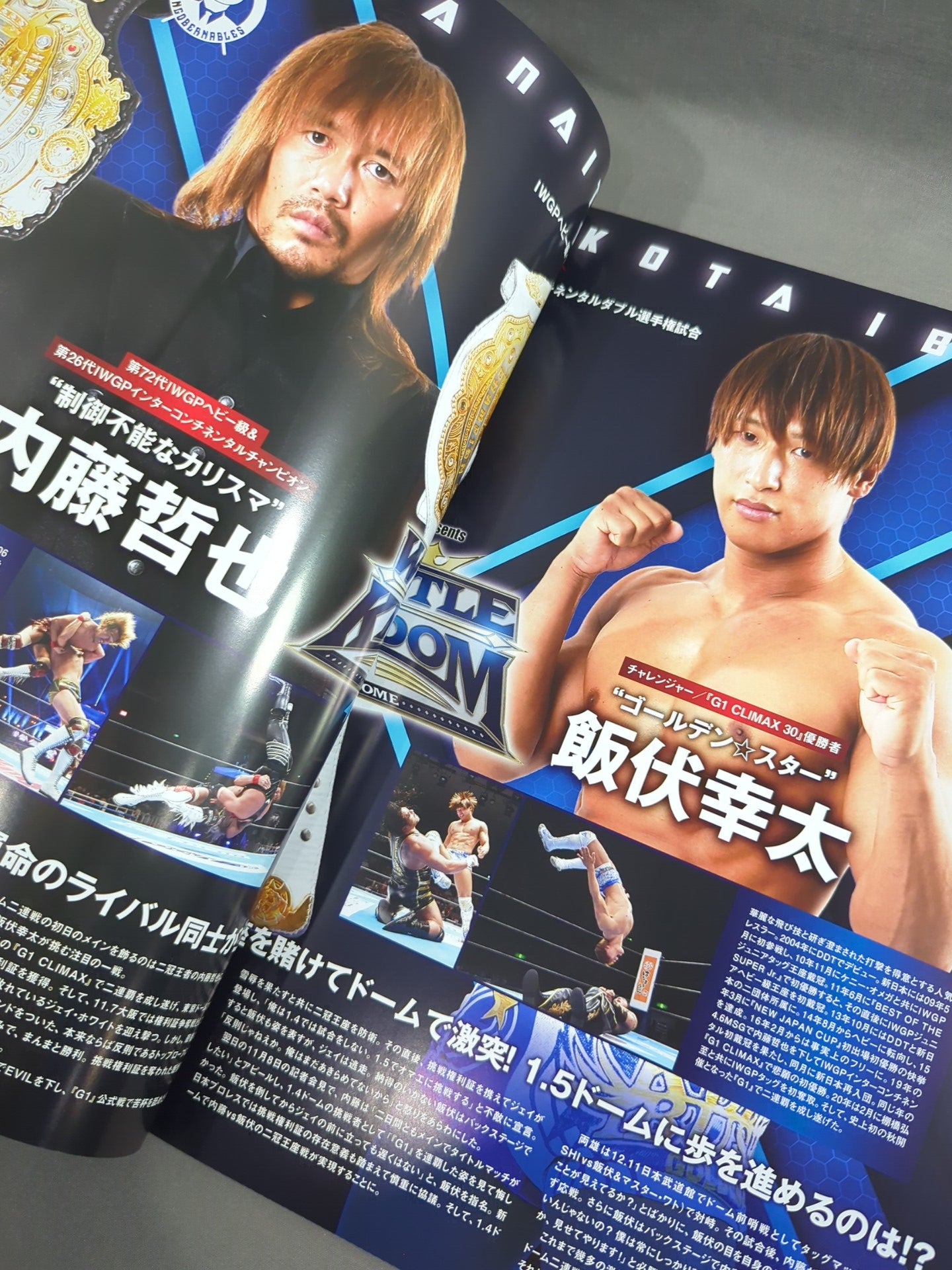 レッスルキングダム15 / WRESTLE KINGDOM 15