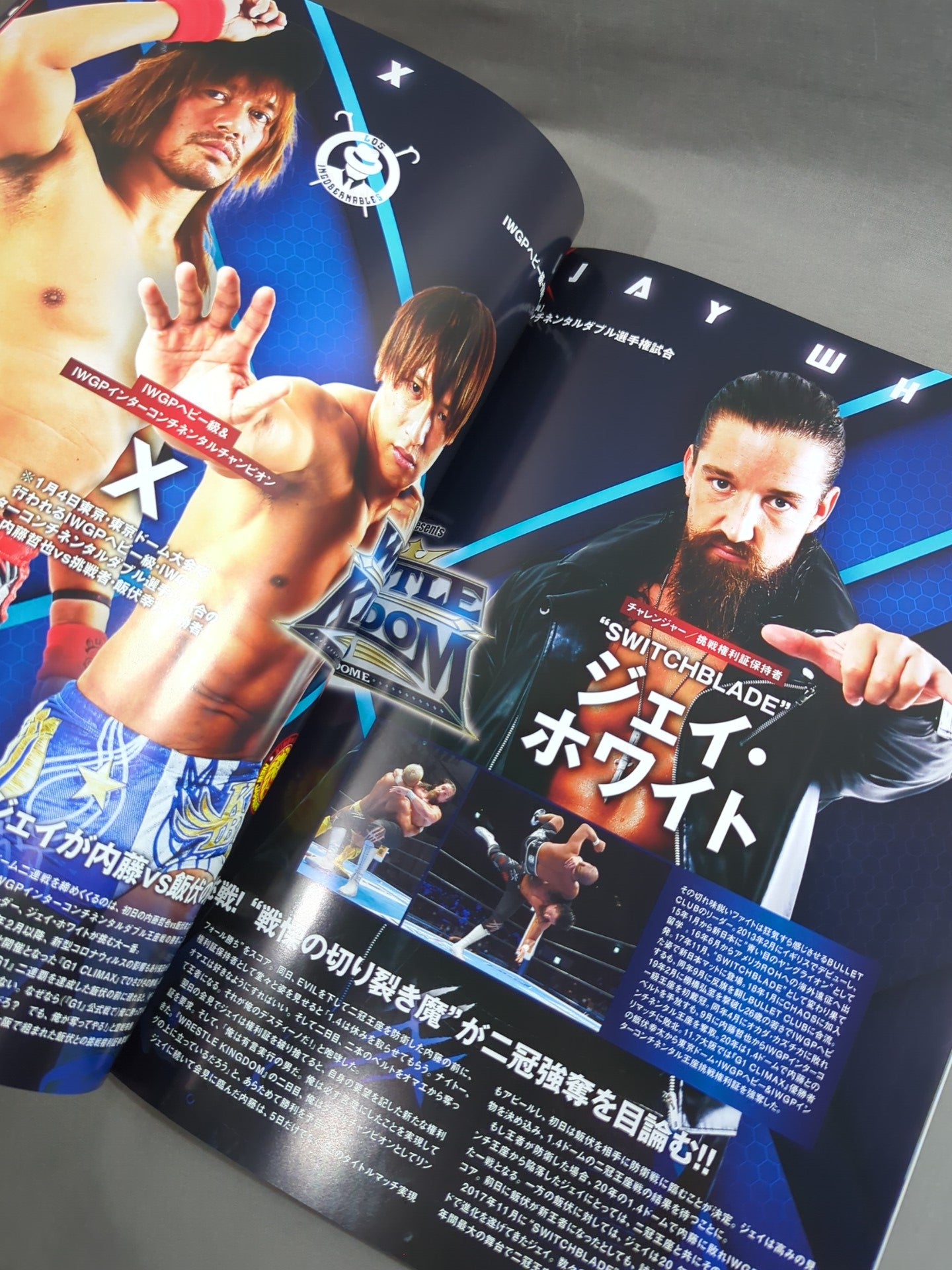 レッスルキングダム15 / WRESTLE KINGDOM 15