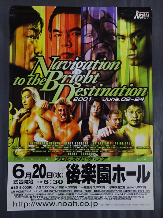 Navigation to the Bright Destination 2001