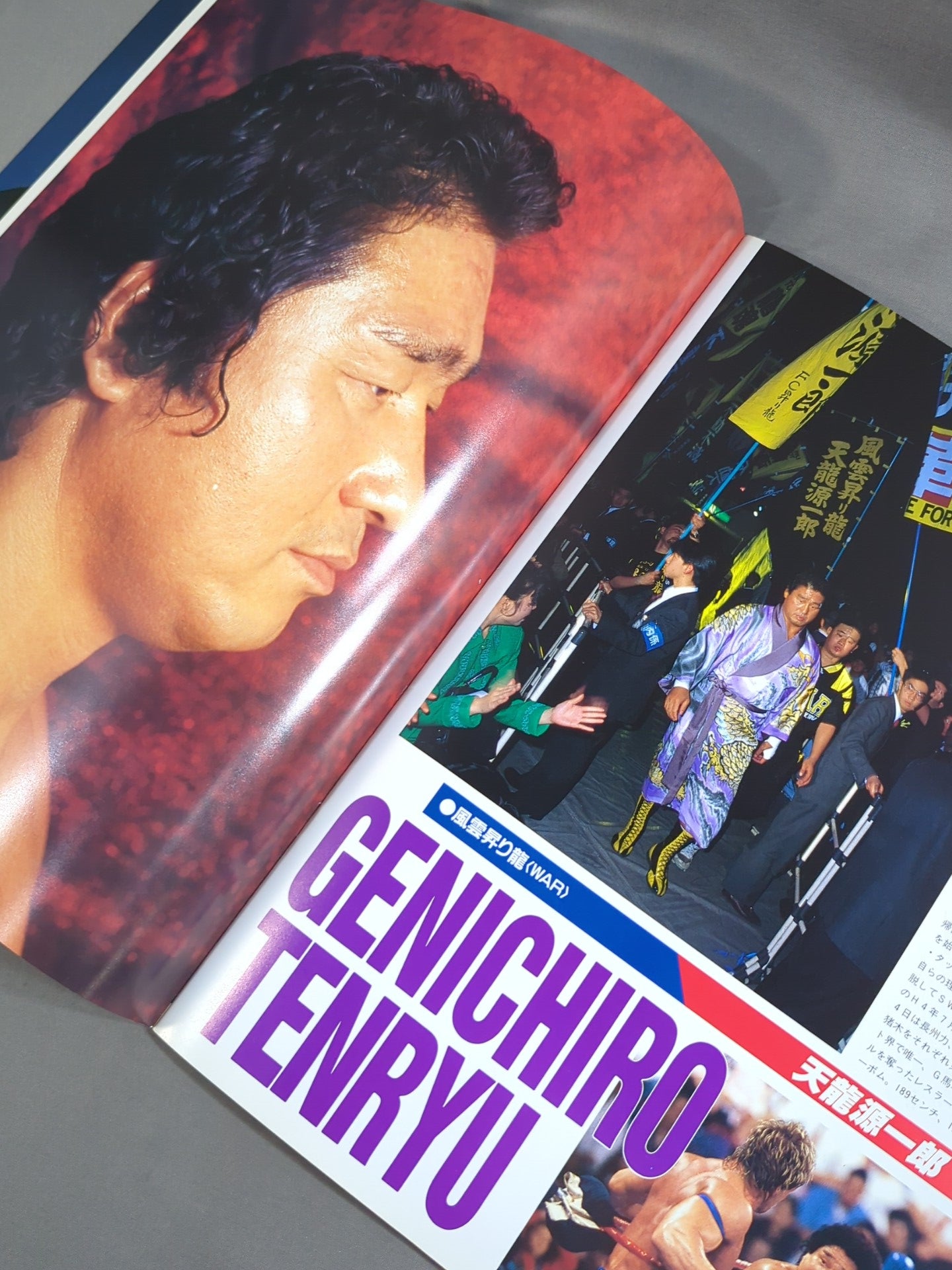 WWF MANIA TOUR / マニア☆ツアー