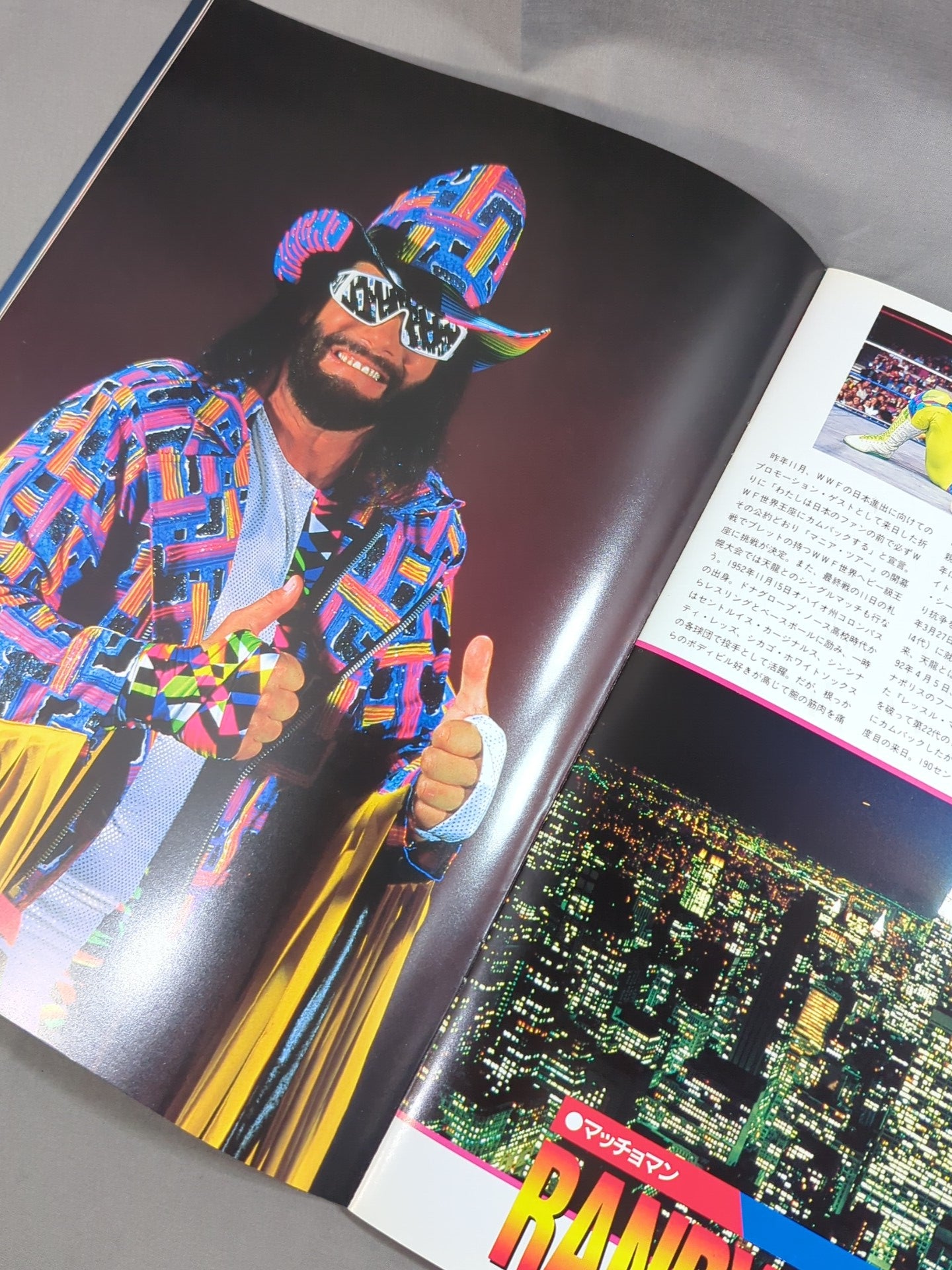 WWF MANIA TOUR / マニア☆ツアー