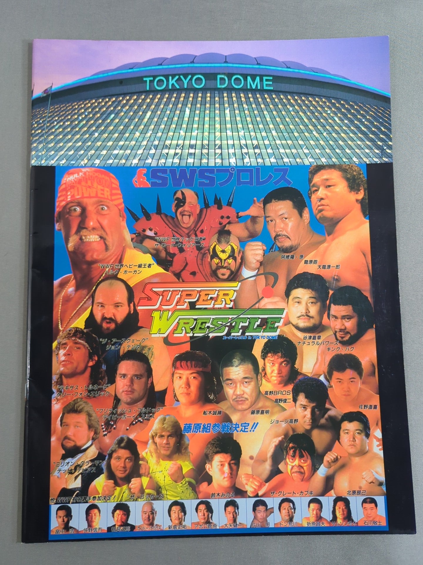 SWS / スーパーレッスル in TOKYO DOME