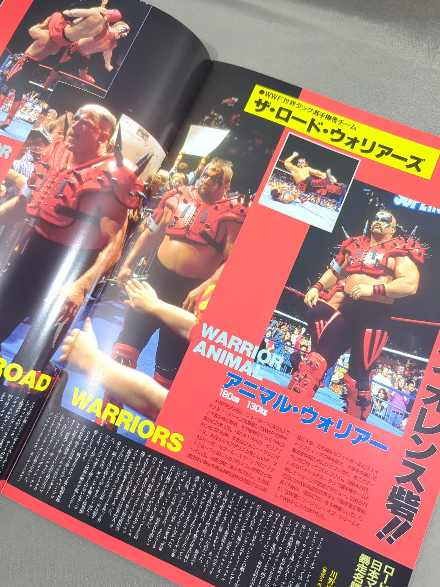 SWS / スーパーレッスル in TOKYO DOME