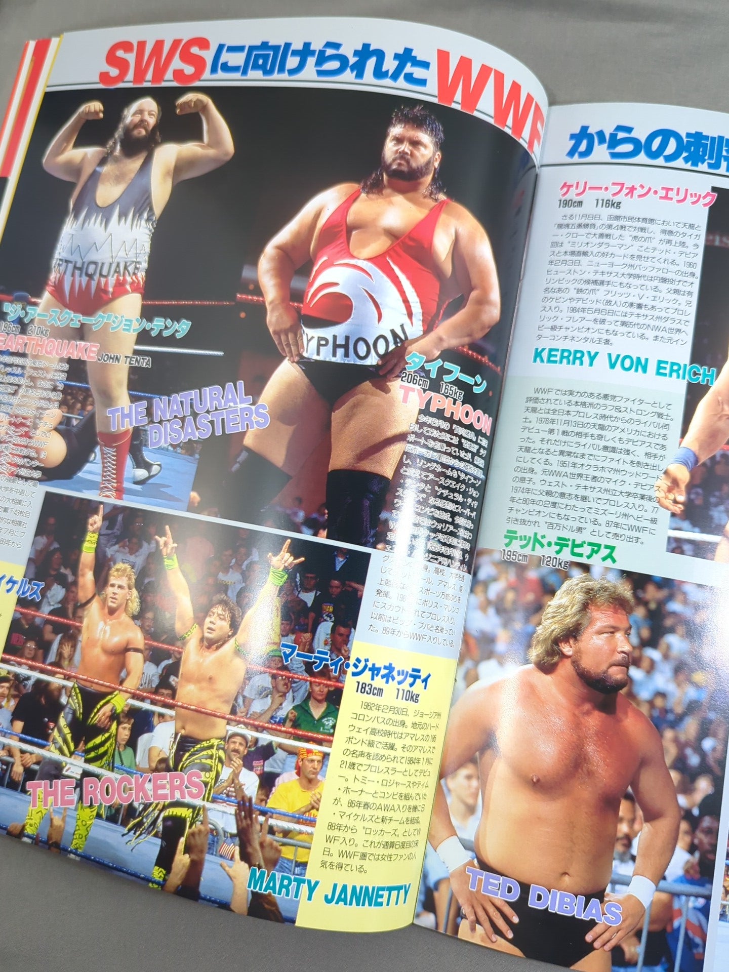 SWS / スーパーレッスル in TOKYO DOME