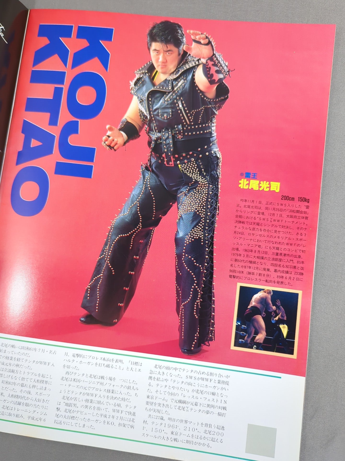 SWS / レッスル・フェスト IN TOKYO DOME