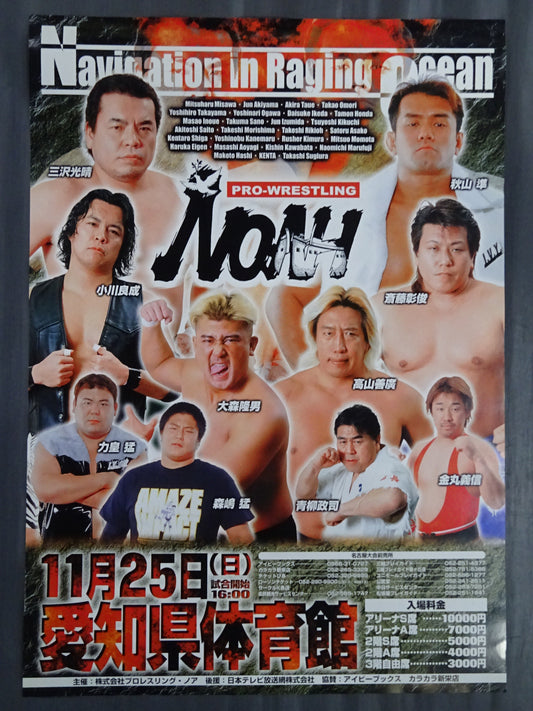 Navigation in Raging Ocean