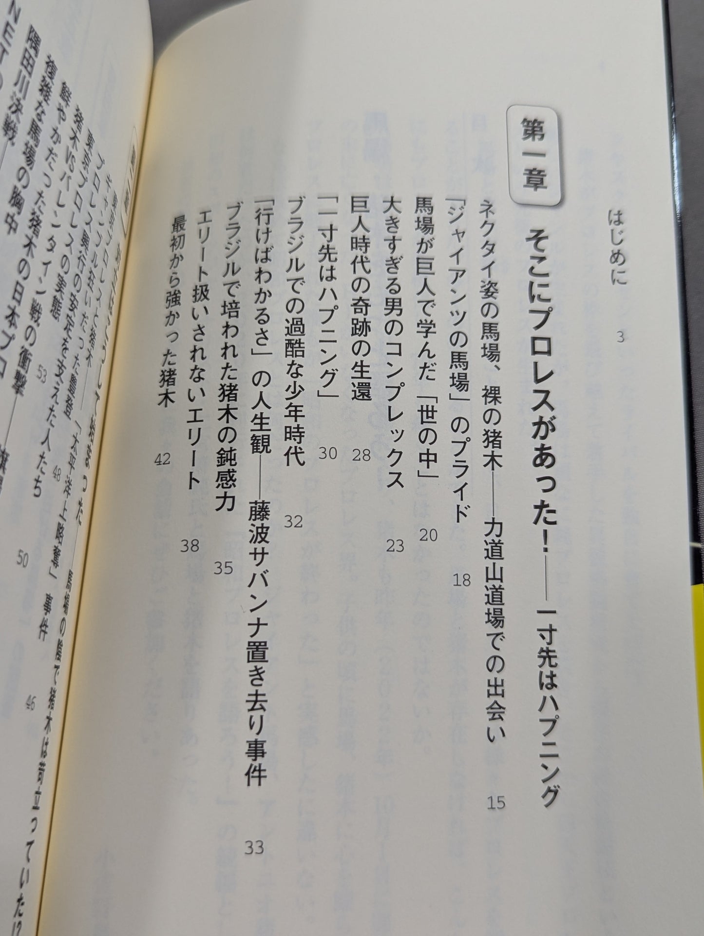 馬場・猪木をもっと語ろう!