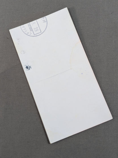 85タッグ・リーグシリーズ