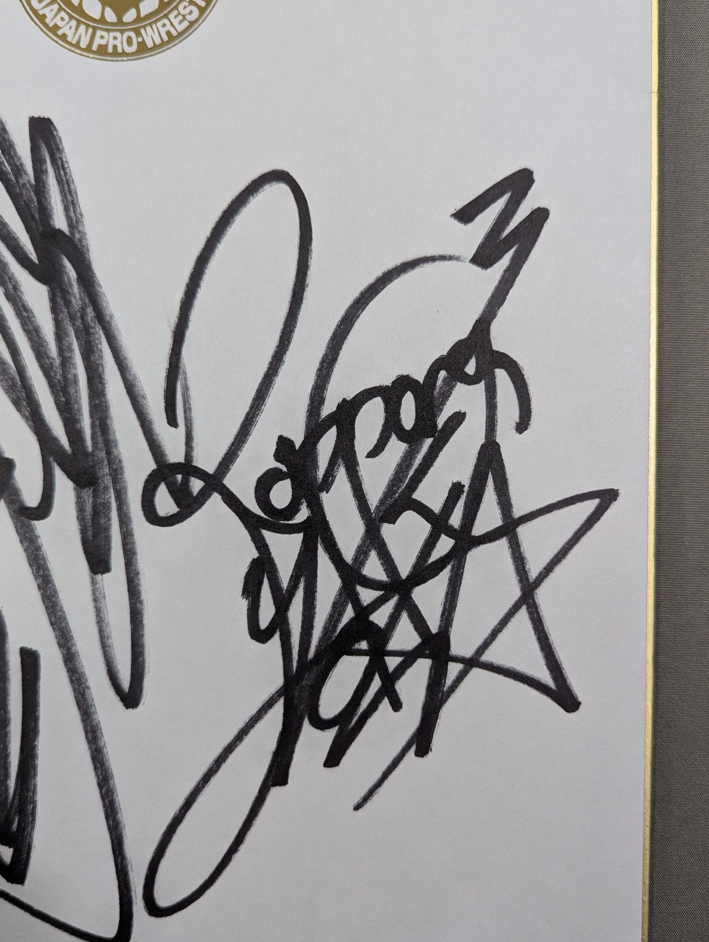 SHO＆YOH(ライオンマーク色紙)