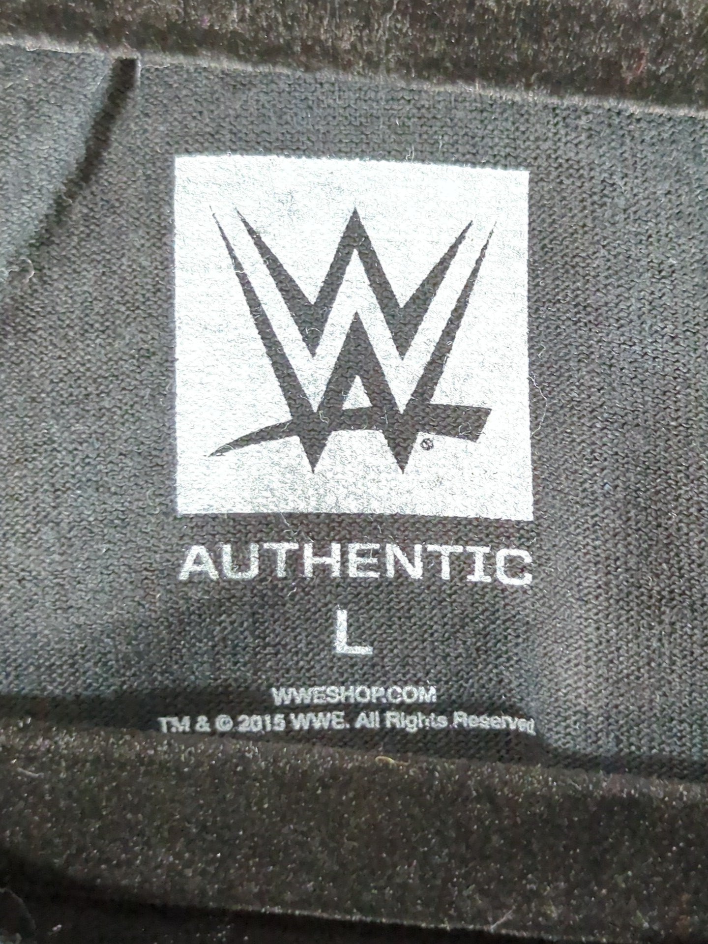 ブロック・レスナー「Suplex City」Tシャツ(WWE(2015) / ブラック)