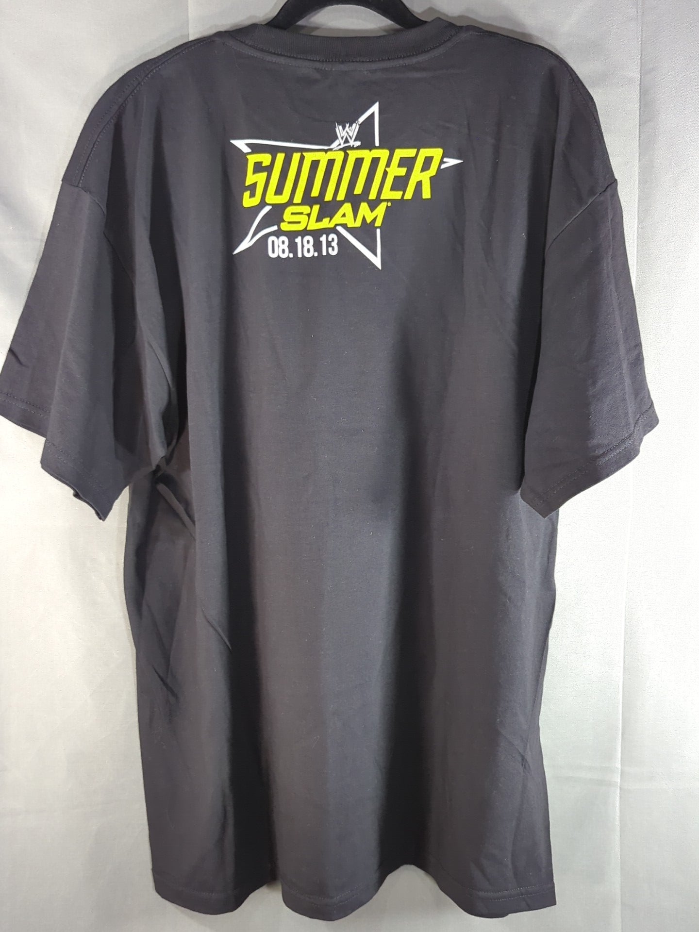 CM Punk vs Brock Lesnar  "SummerSlam 2013" Picture T-Shirt (WWE (2013) / Black)
