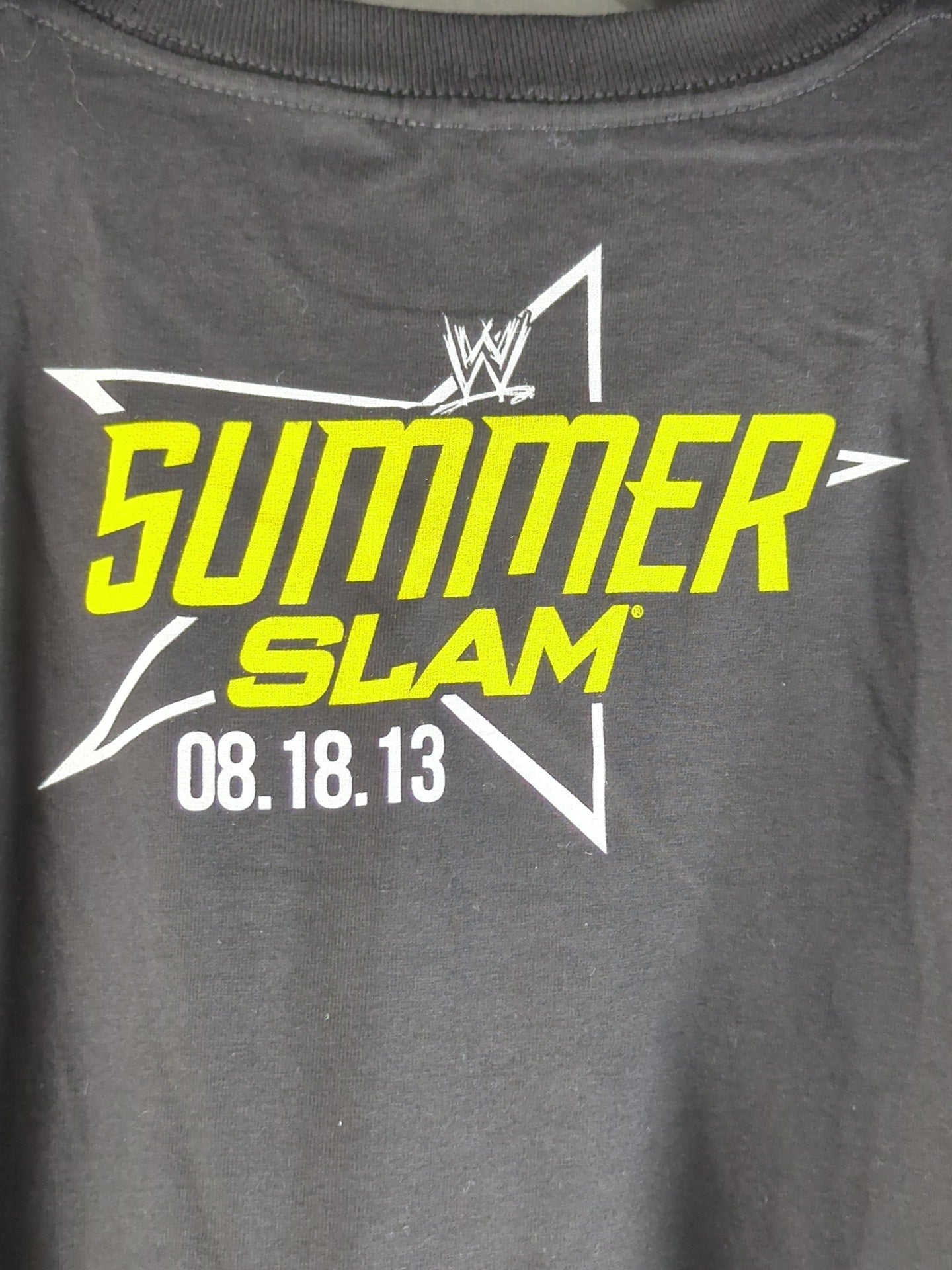CM Punk vs Brock Lesnar  "SummerSlam 2013" Picture T-Shirt (WWE (2013) / Black)