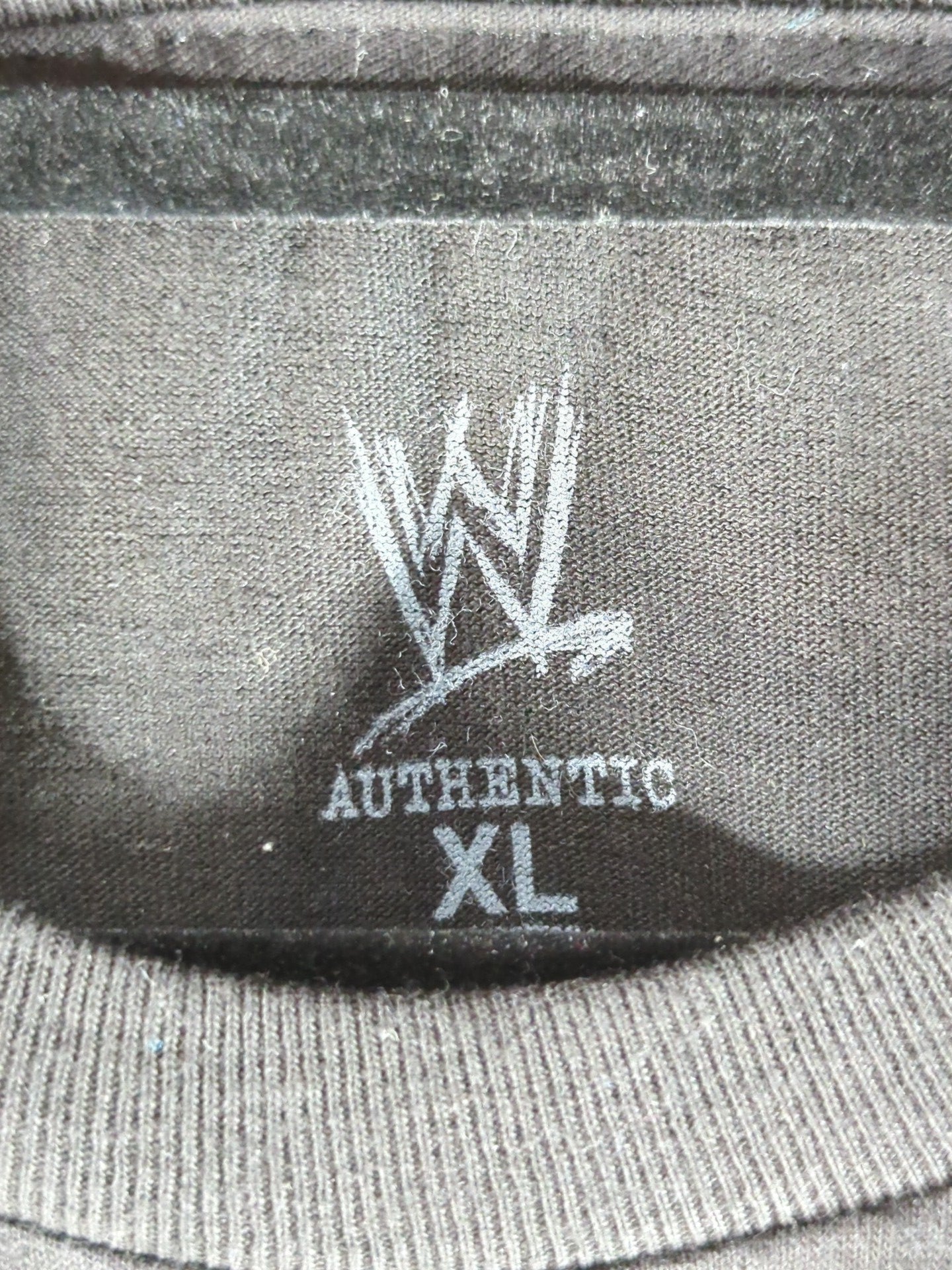 CM Punk vs Brock Lesnar  "SummerSlam 2013" Picture T-Shirt (WWE (2013) / Black)