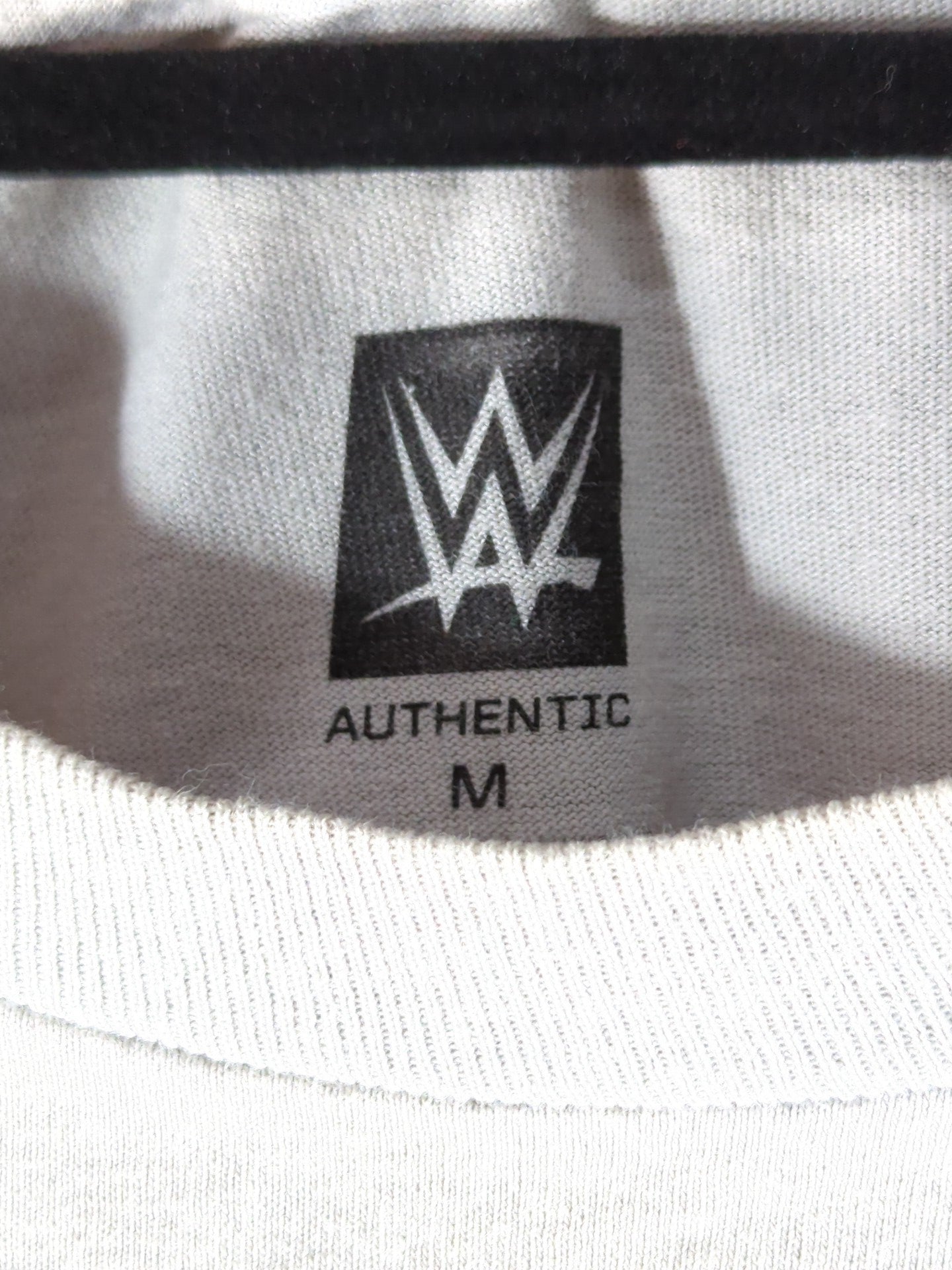 Brock Lesnar  vs Seth Rollins "BATTLEGROUND" Picture T-Shirt (WWE (2015) / Gray)