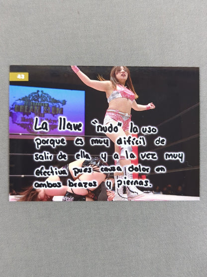 2019 STARDOM COLLECTION CARD Natsumi×El Nudo(43)