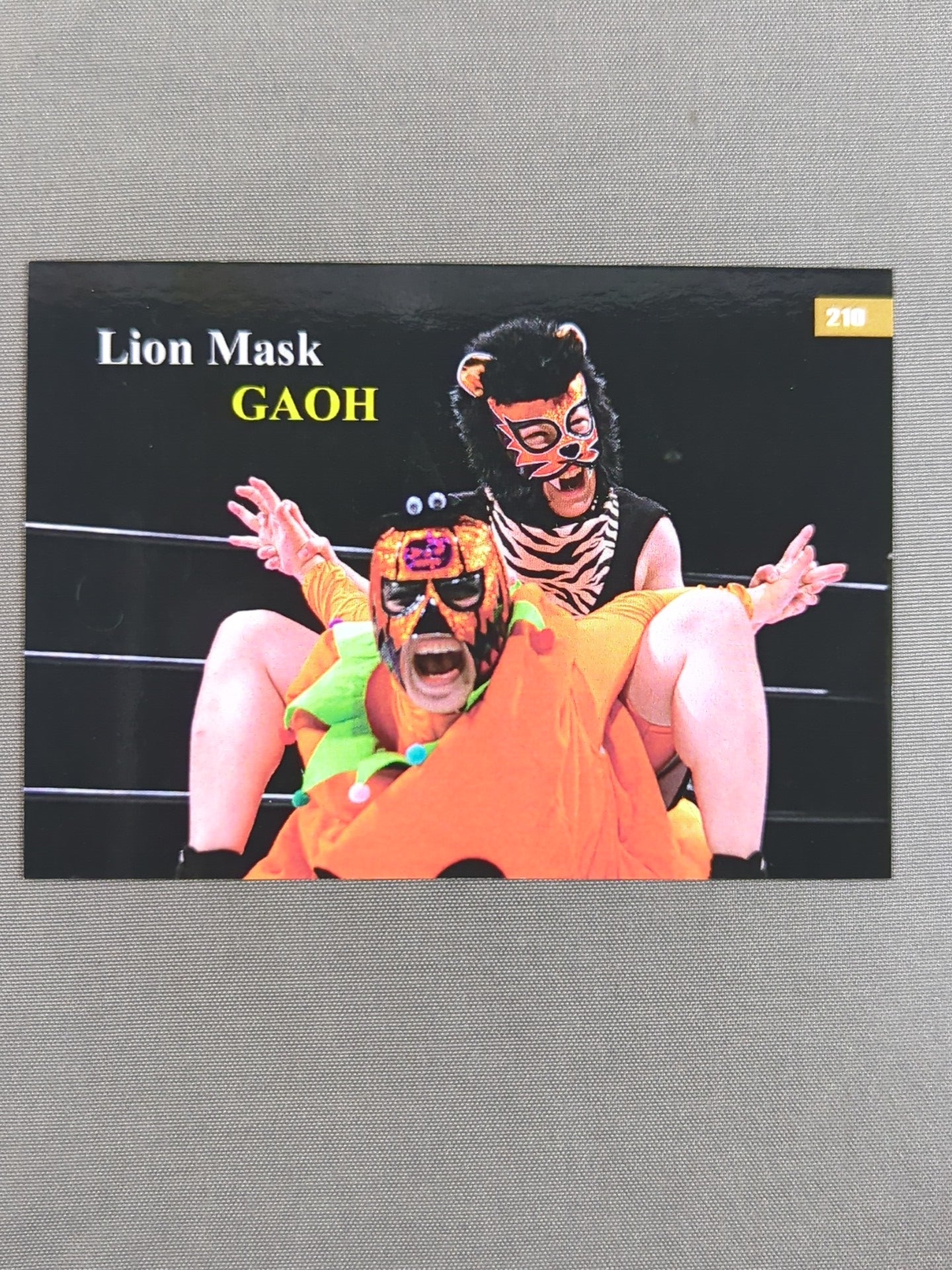 2019 STARDOM COLLECTION CARD Reio Onozaki Official Autographed Card(210)