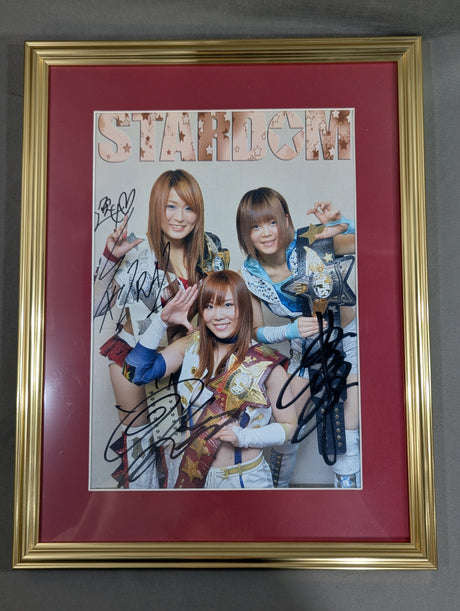 紫雷イオ＆岩谷麻優＆宝城カイリ 3選手 直筆サイン入り 額装ポートレート
