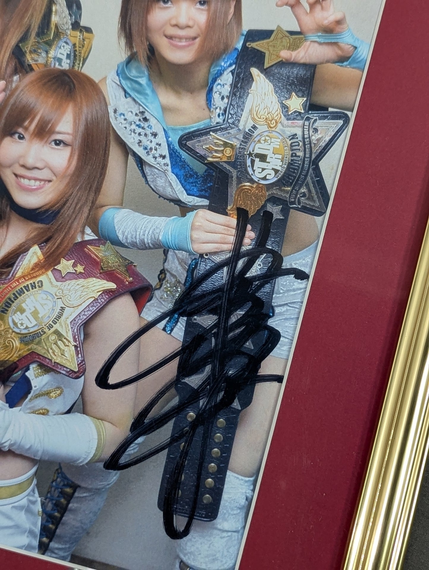 紫雷イオ＆岩谷麻優＆宝城カイリ 3選手 直筆サイン入り 額装ポートレート