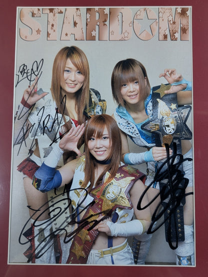 紫雷イオ＆岩谷麻優＆宝城カイリ 3選手 直筆サイン入り 額装ポートレート