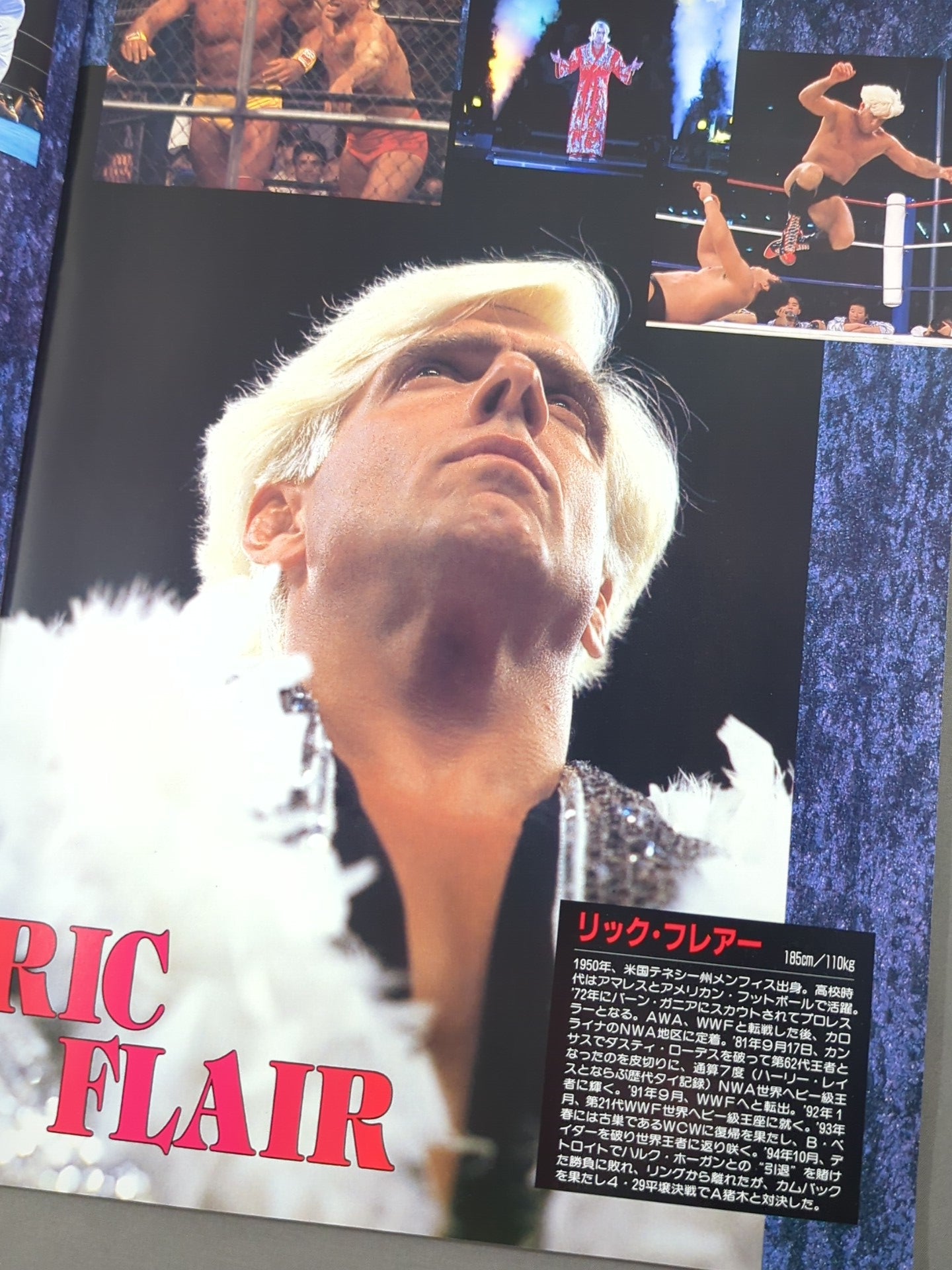 ★フレアー&テリー参戦★ 95WRESTLING DONTAKU